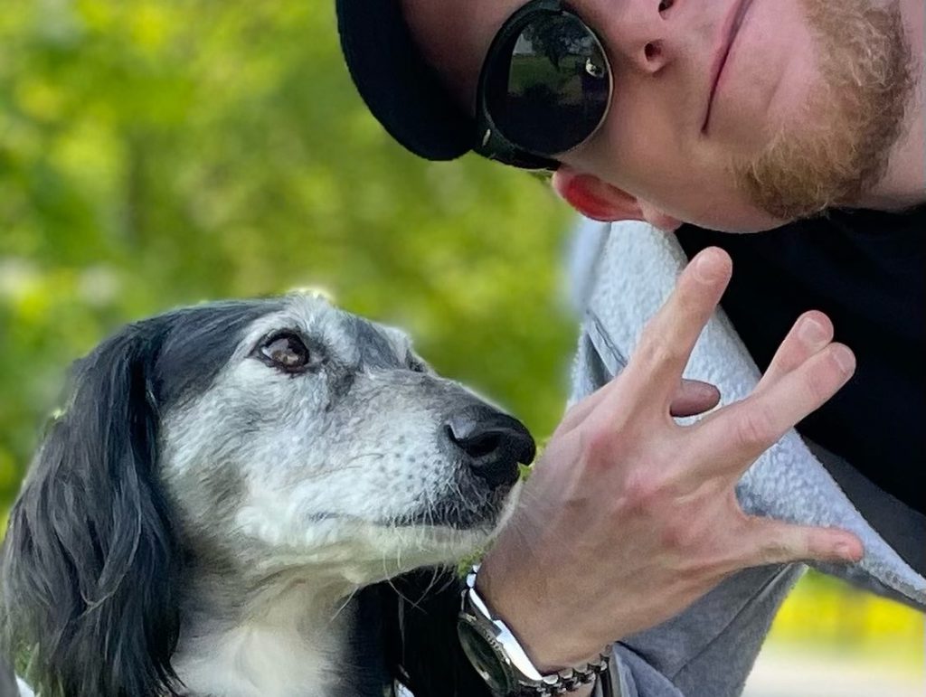 Tiergestützte Intervention Jugendhilfe Tiergestützte Pädagogik